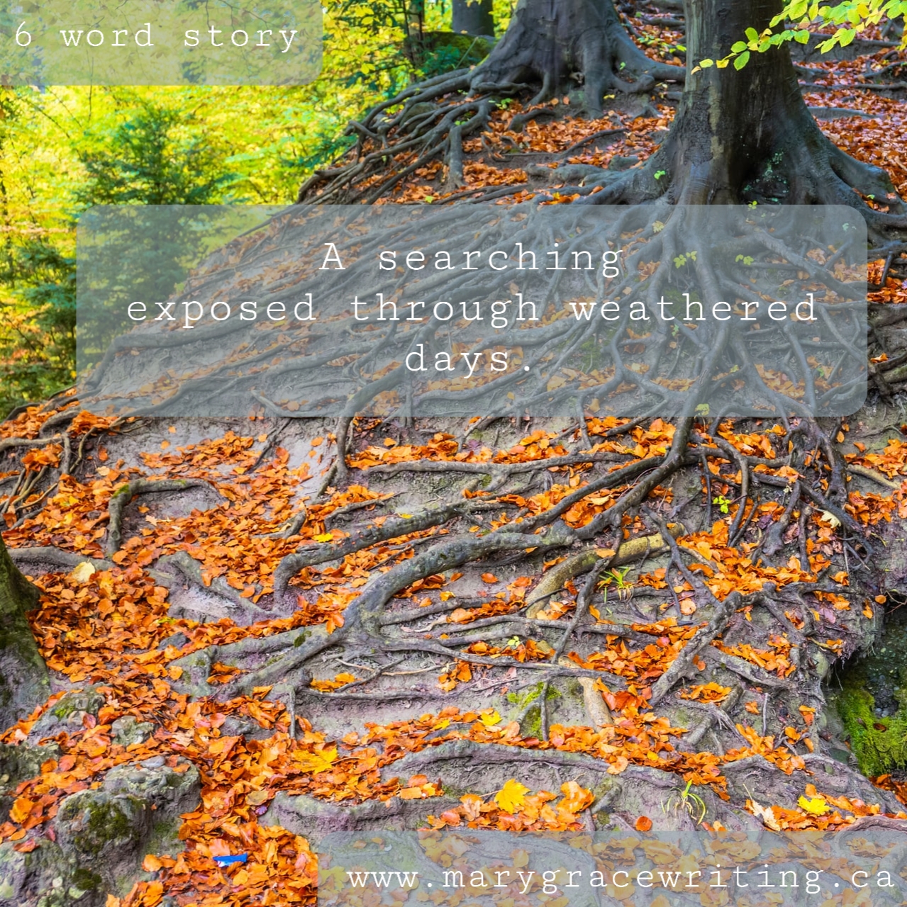 Six Word Stories (29)