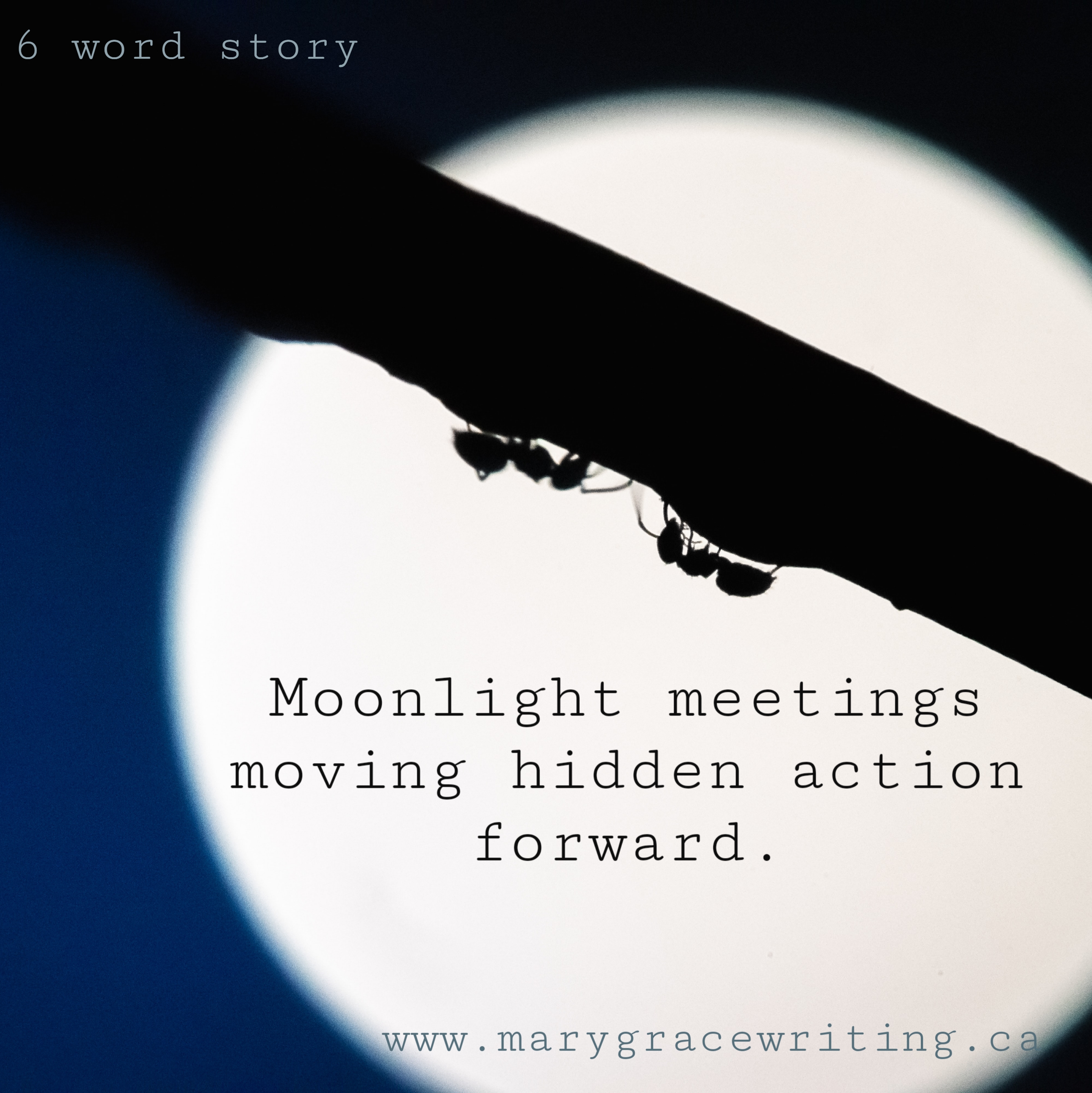 Six Word Story (39)