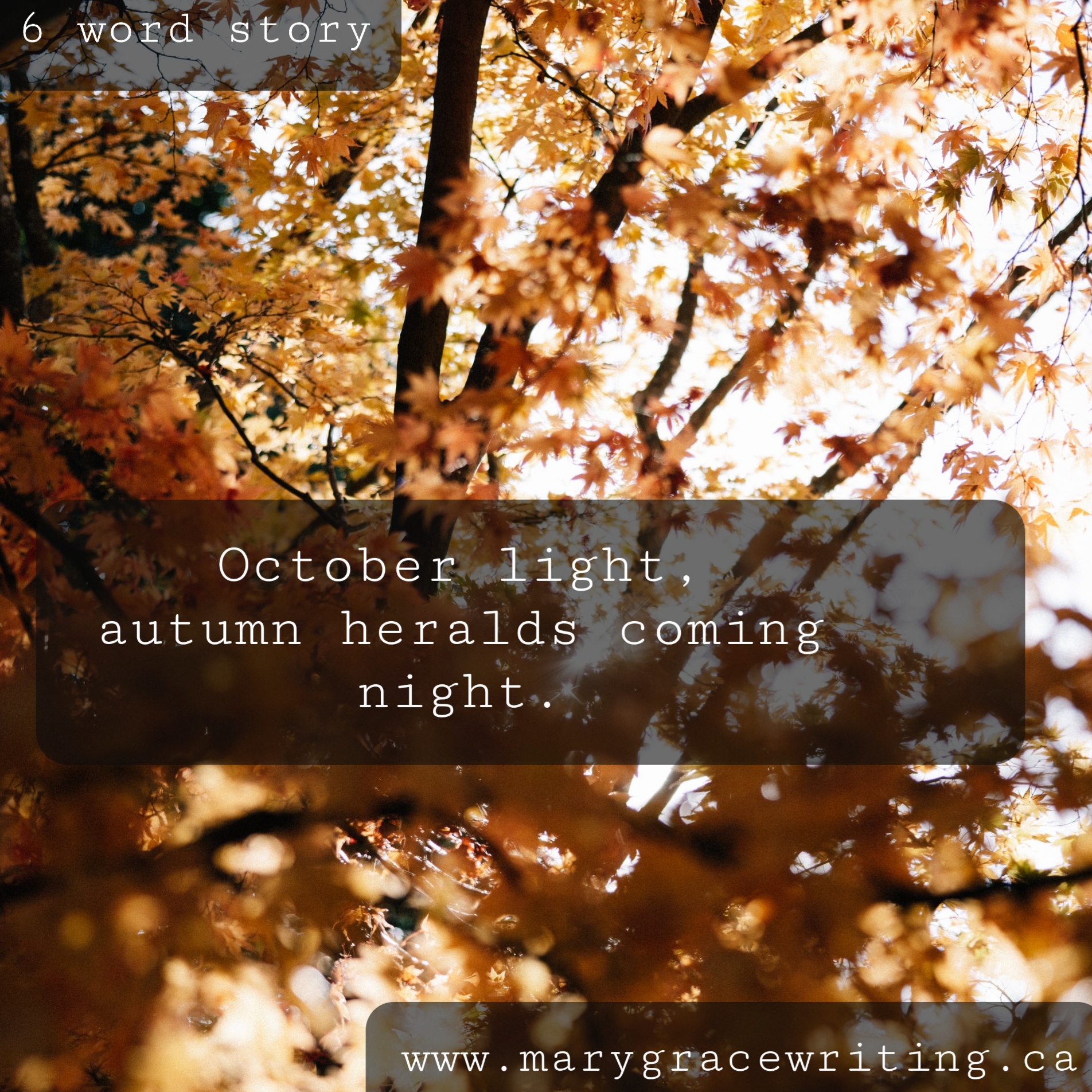 Six Word Story (46)