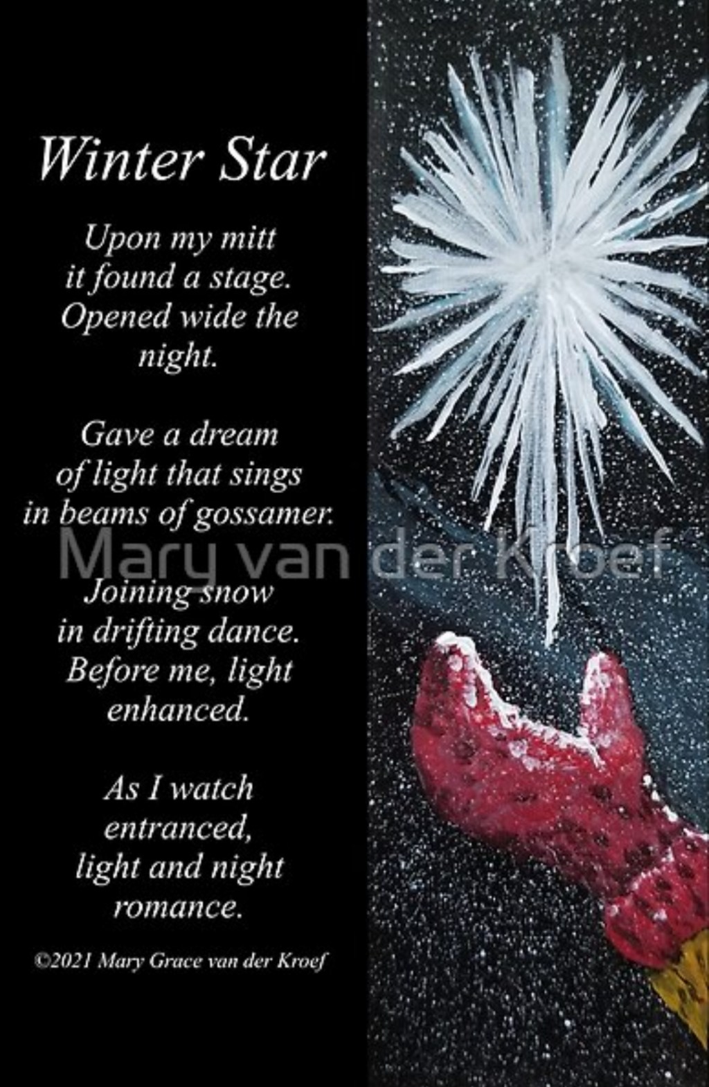 Winter Star/Art Highlight