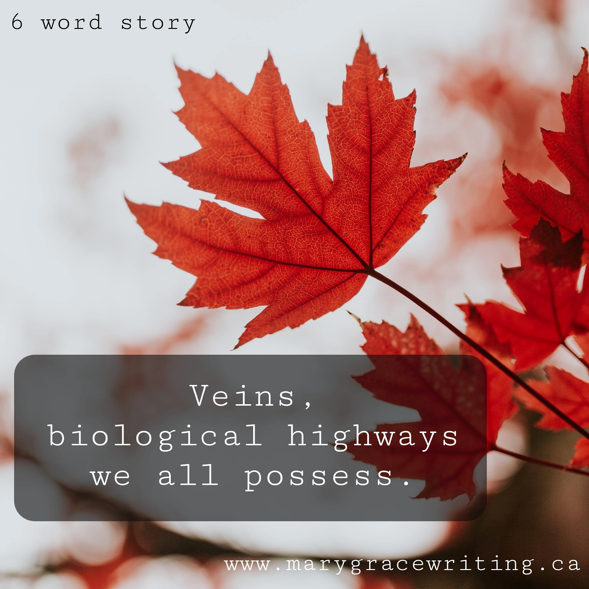 Six Word Stories (49)