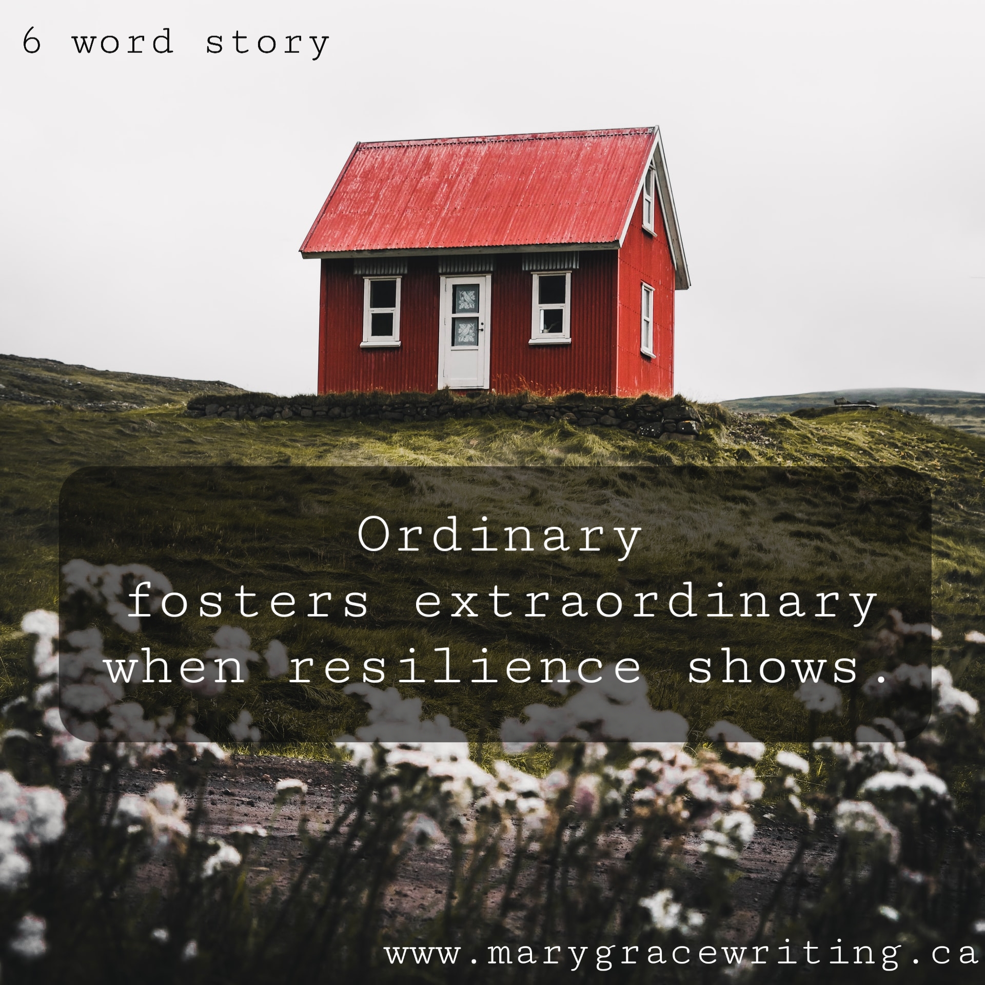 Six Word Story (55)