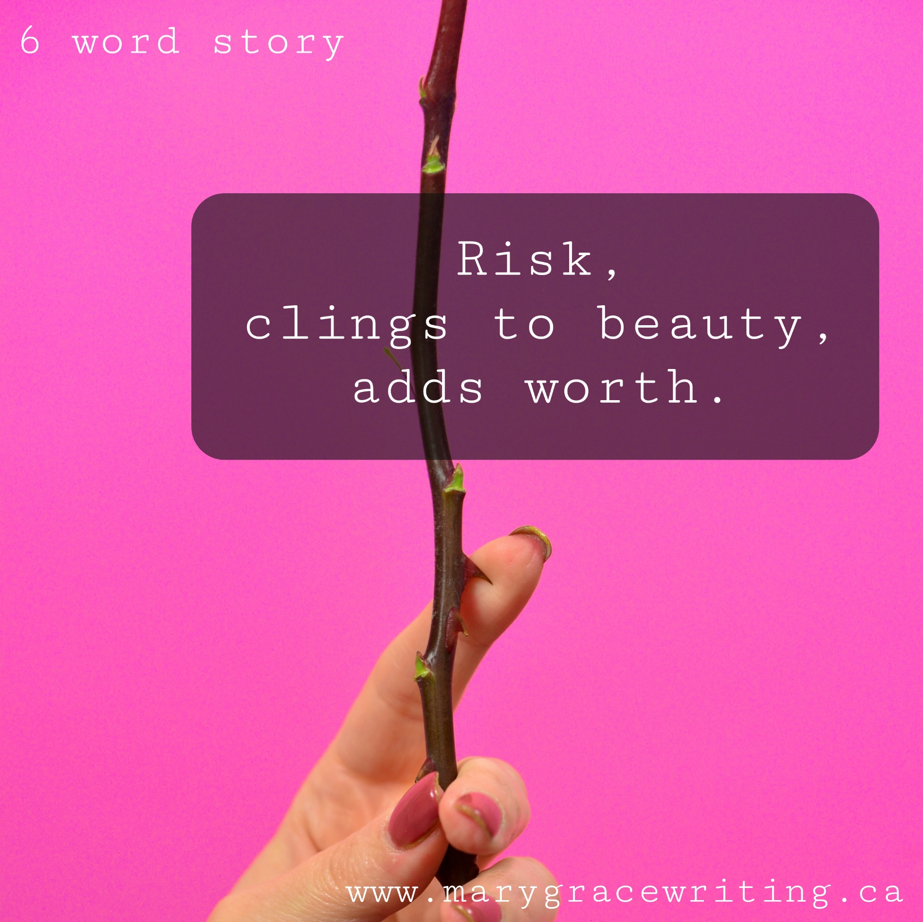 Six Word Story (57)