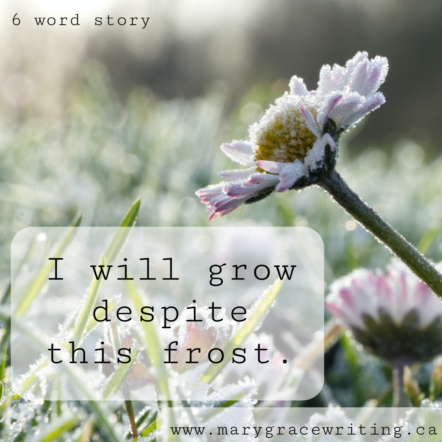 Six Word Story (60)