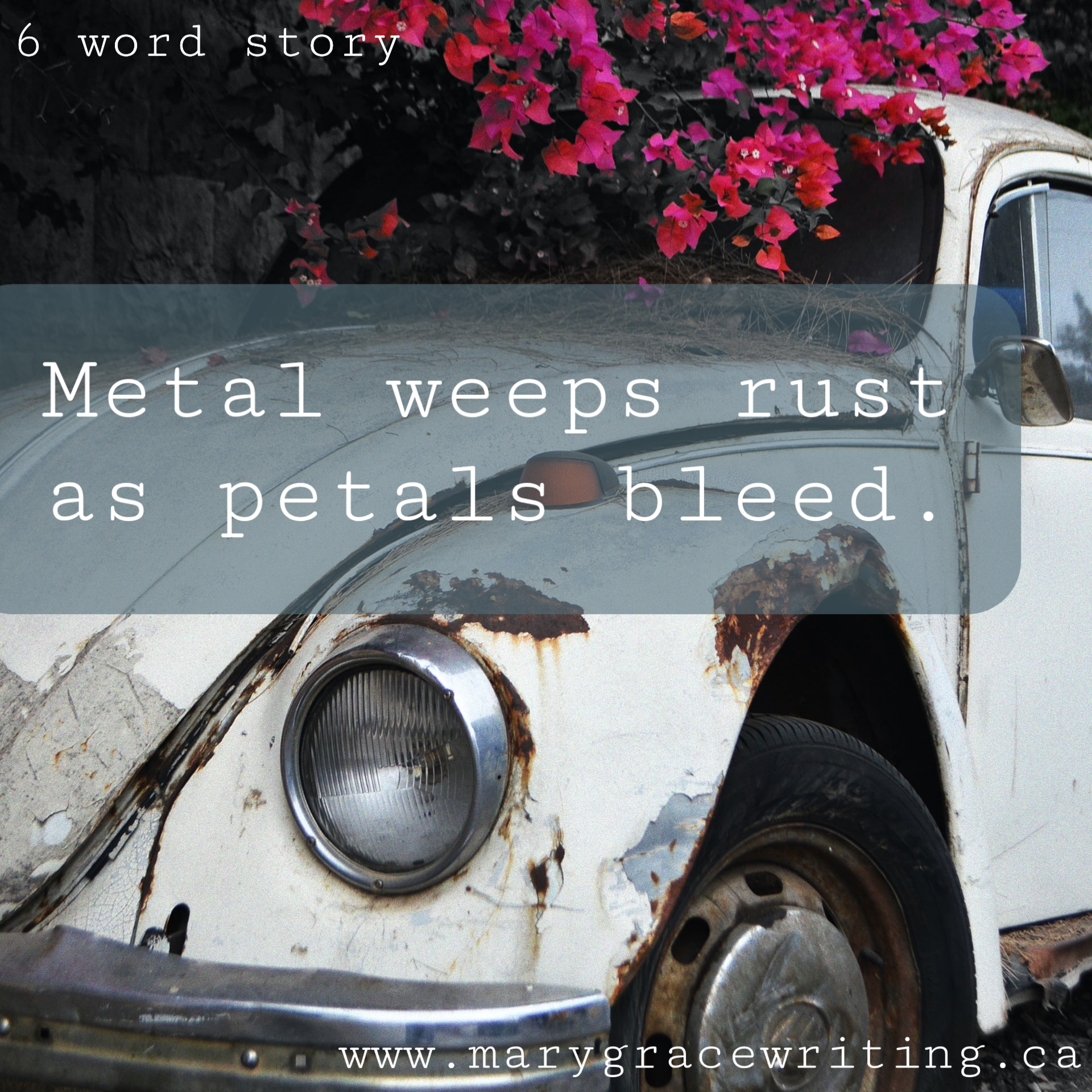 Six Word Story (66)