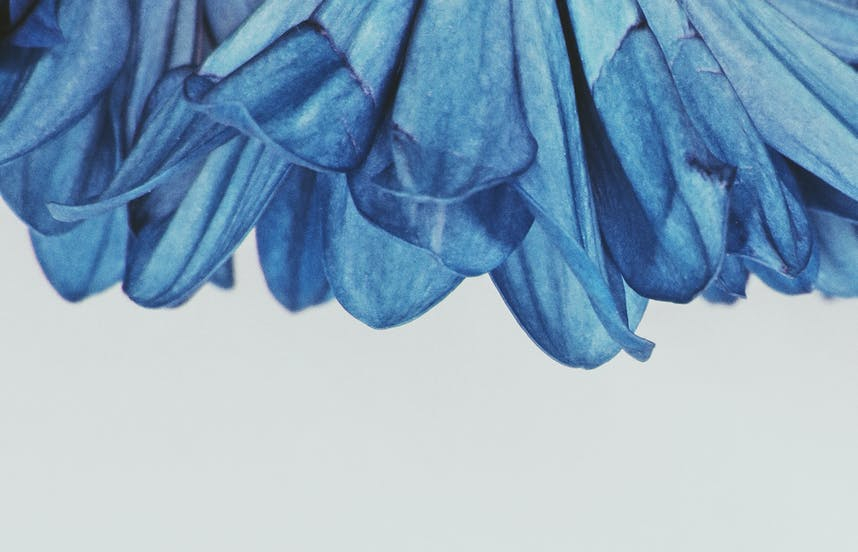 Disconnect/Mental Rhythm Magazine