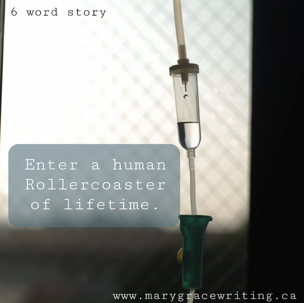 Six Word Story (70)