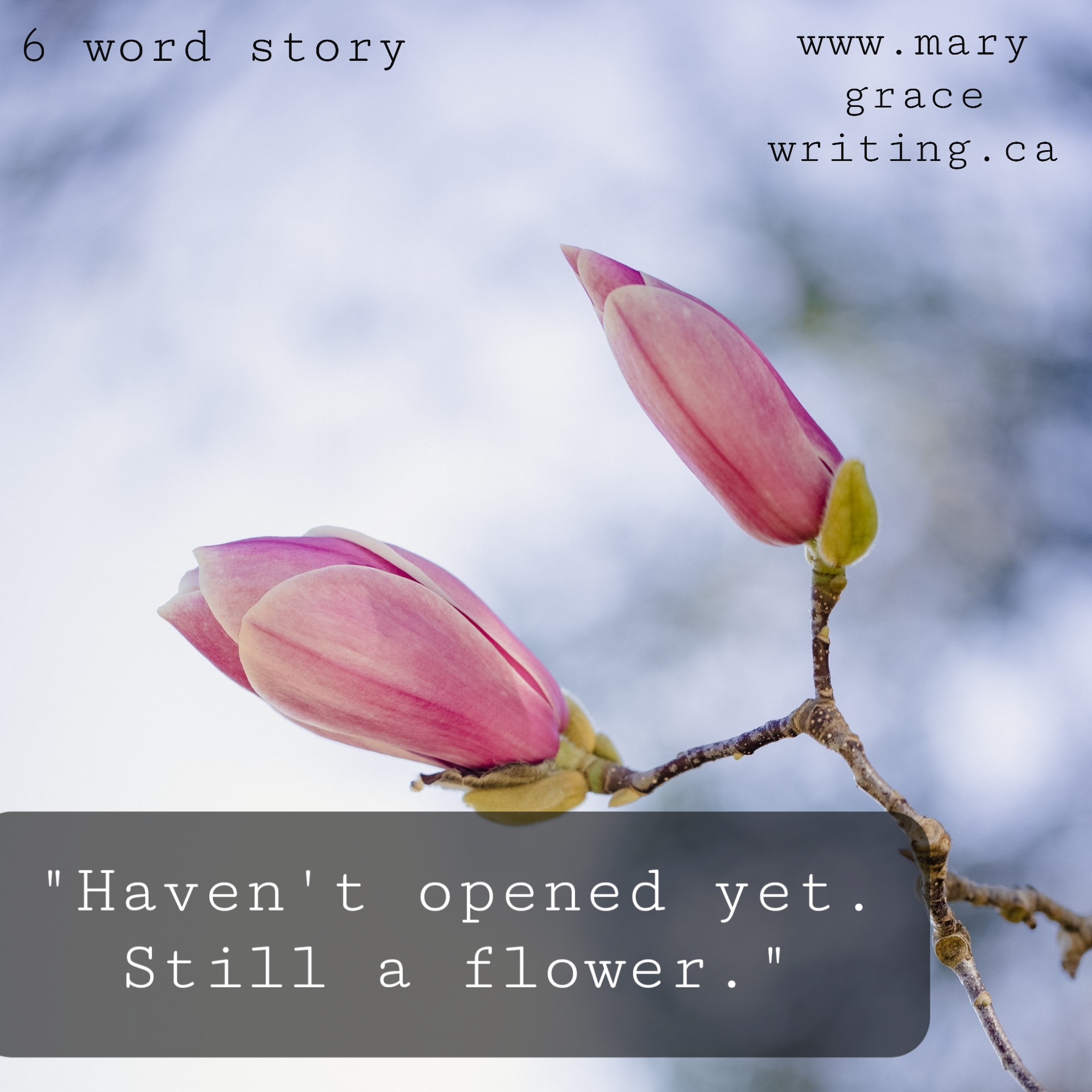 Six Word Story (78)