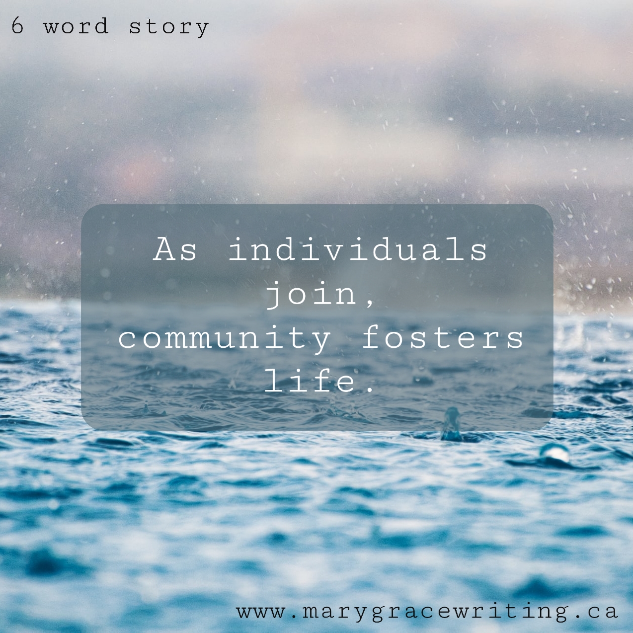 Six Word Story (84)