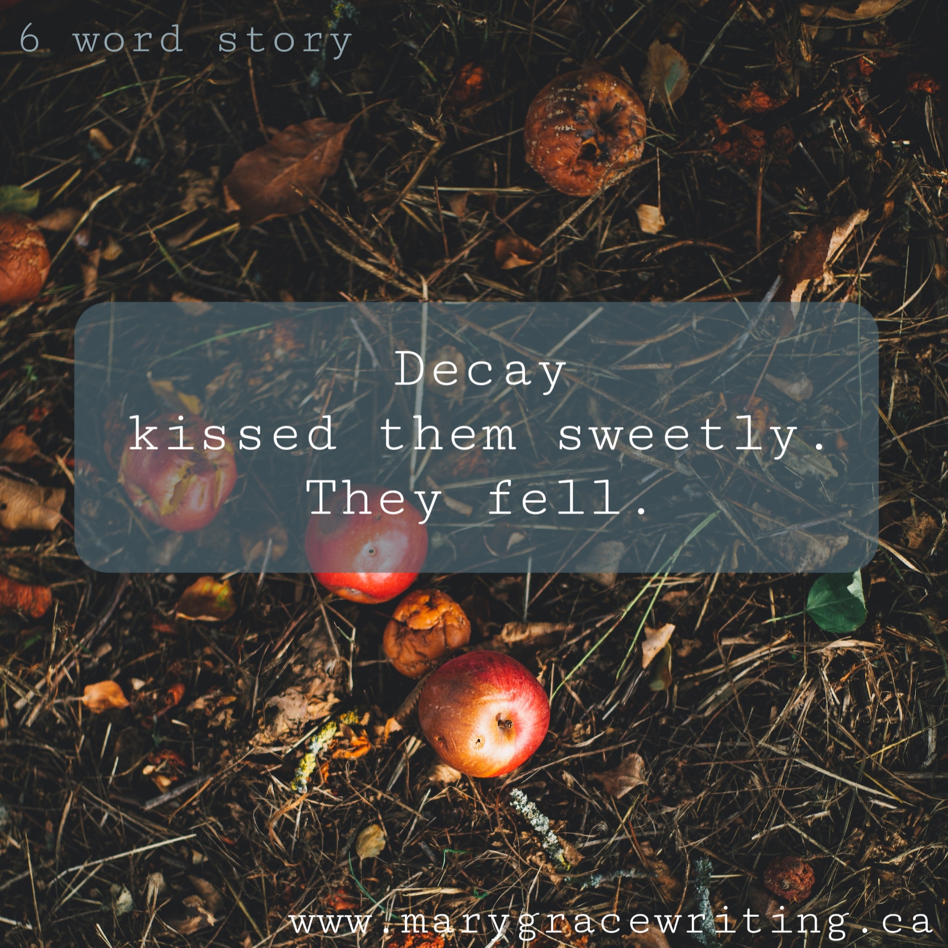 Six Word Story (93)