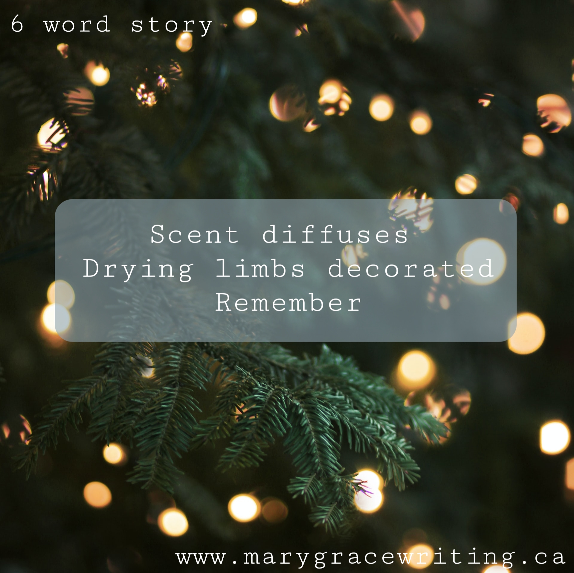 Six Word Story (100)
