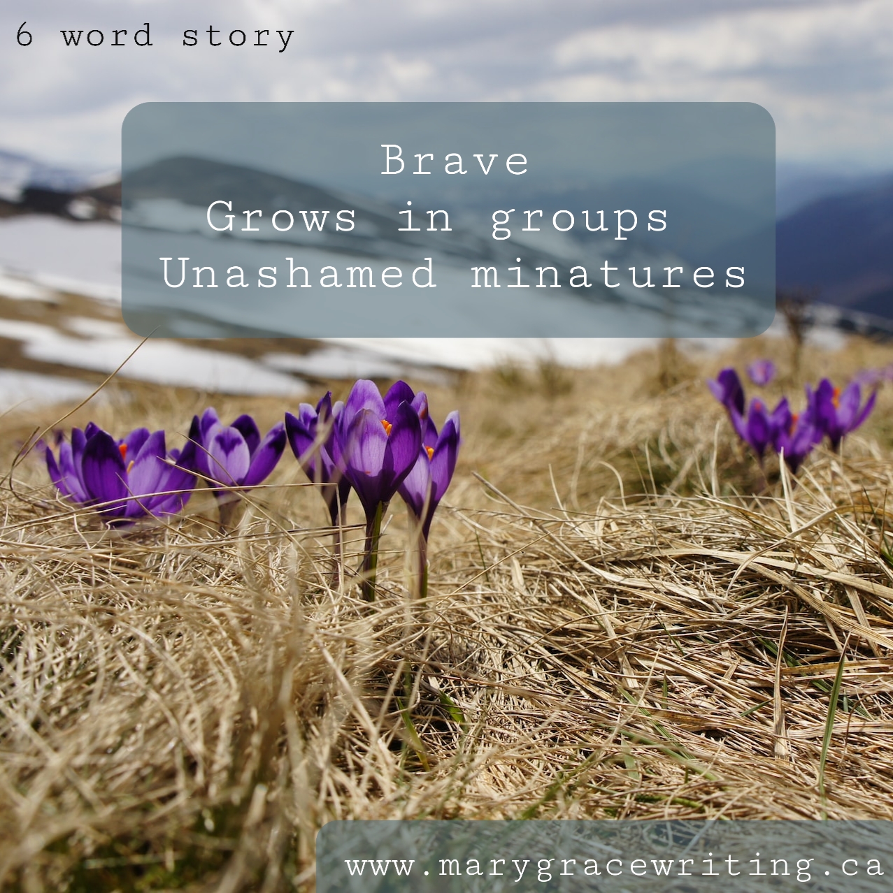 Six Word Story (112)