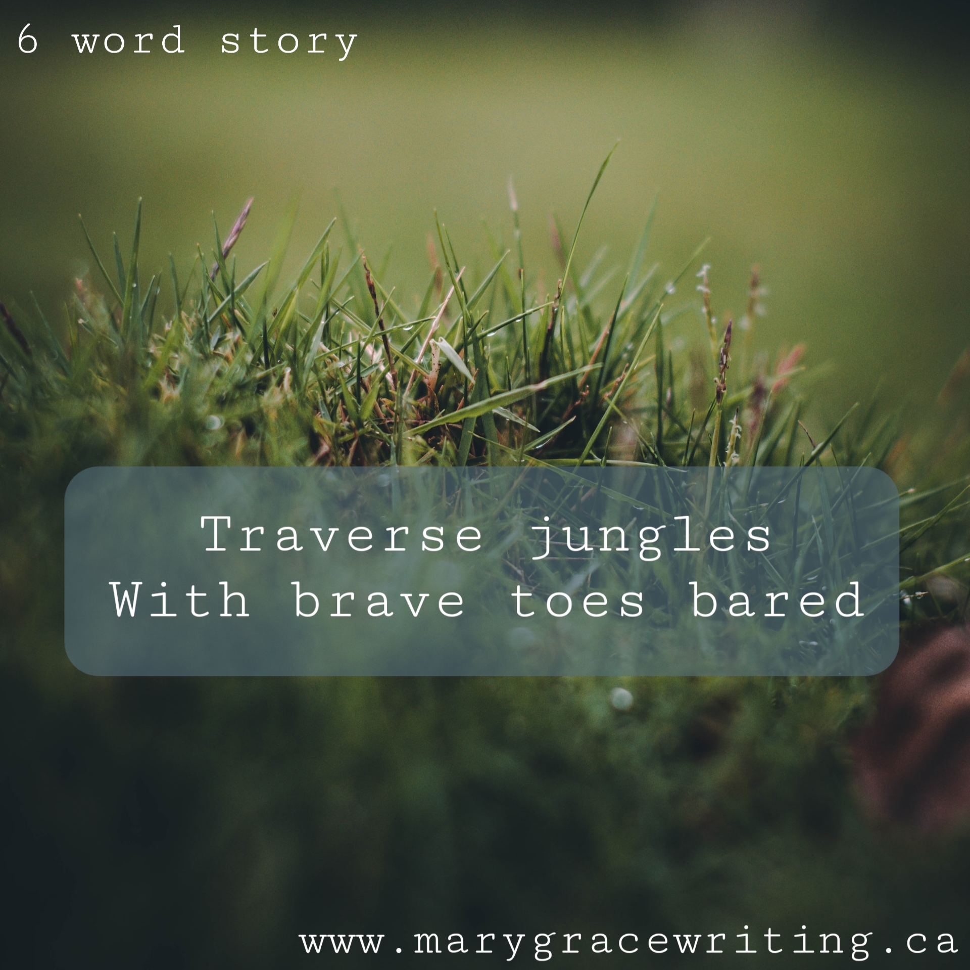 Six Word Story (114)