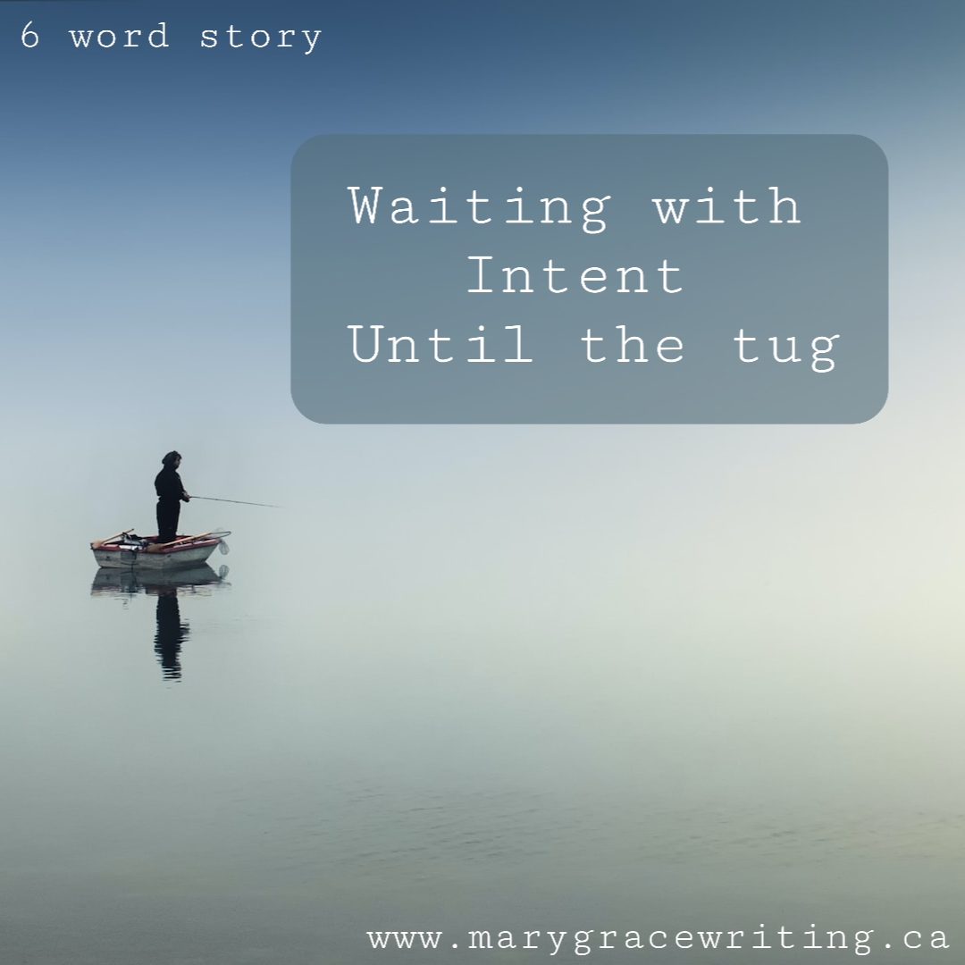 Six Word Story (115)”